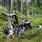 Anno 1721 Uten Internett, Strom, Vann - Men Med Rodmalt Utedo * Ljørdal
