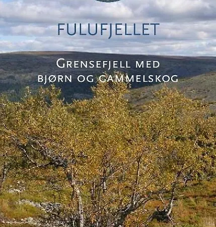 Anno 1721 Uten Internett, Strom, Vann - Men Med Rodmalt Utedo *