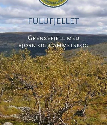 Anno 1721 Uten Internett, Strom, Vann - Men Med Rodmalt Utedo *