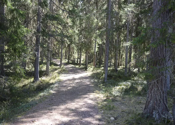 Anno 1721 Uten Internett, Strom, Vann - Men Med Rodmalt Utedo Ljørdal