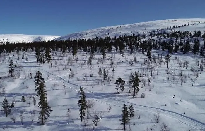 Lägenhet Anno 1721 Uten Internett, Strom, Vann - Men Med Rodmalt Utedo Ljørdal
