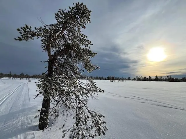 Lägenhet Anno 1721 Uten Internett, Strom, Vann - Men Med Rodmalt Utedo Ljørdal